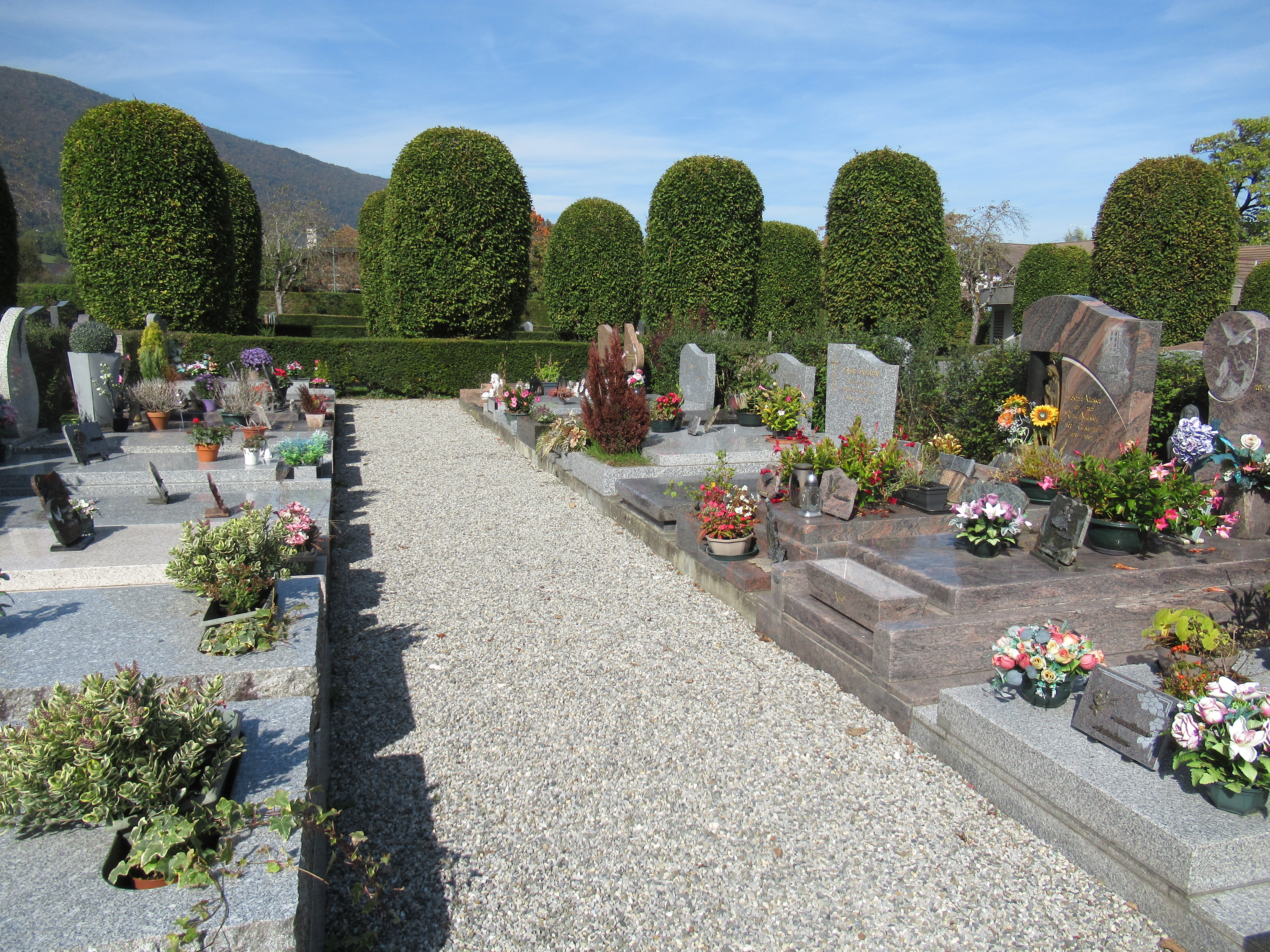2025-10-08 Cimetière de la Tire - ILLUSTRATION _4_.JPG