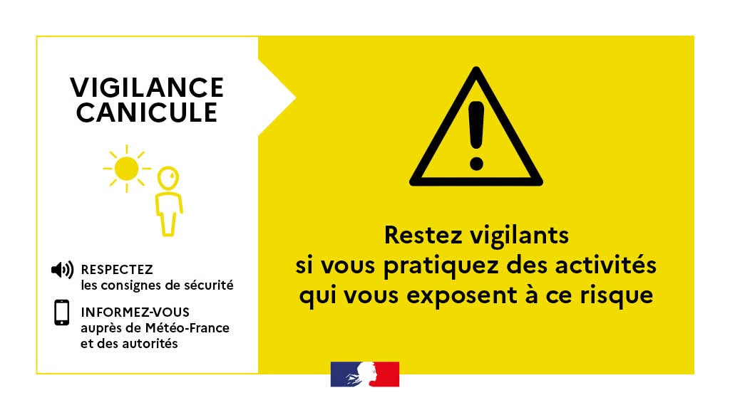Canicule jaune.jpg