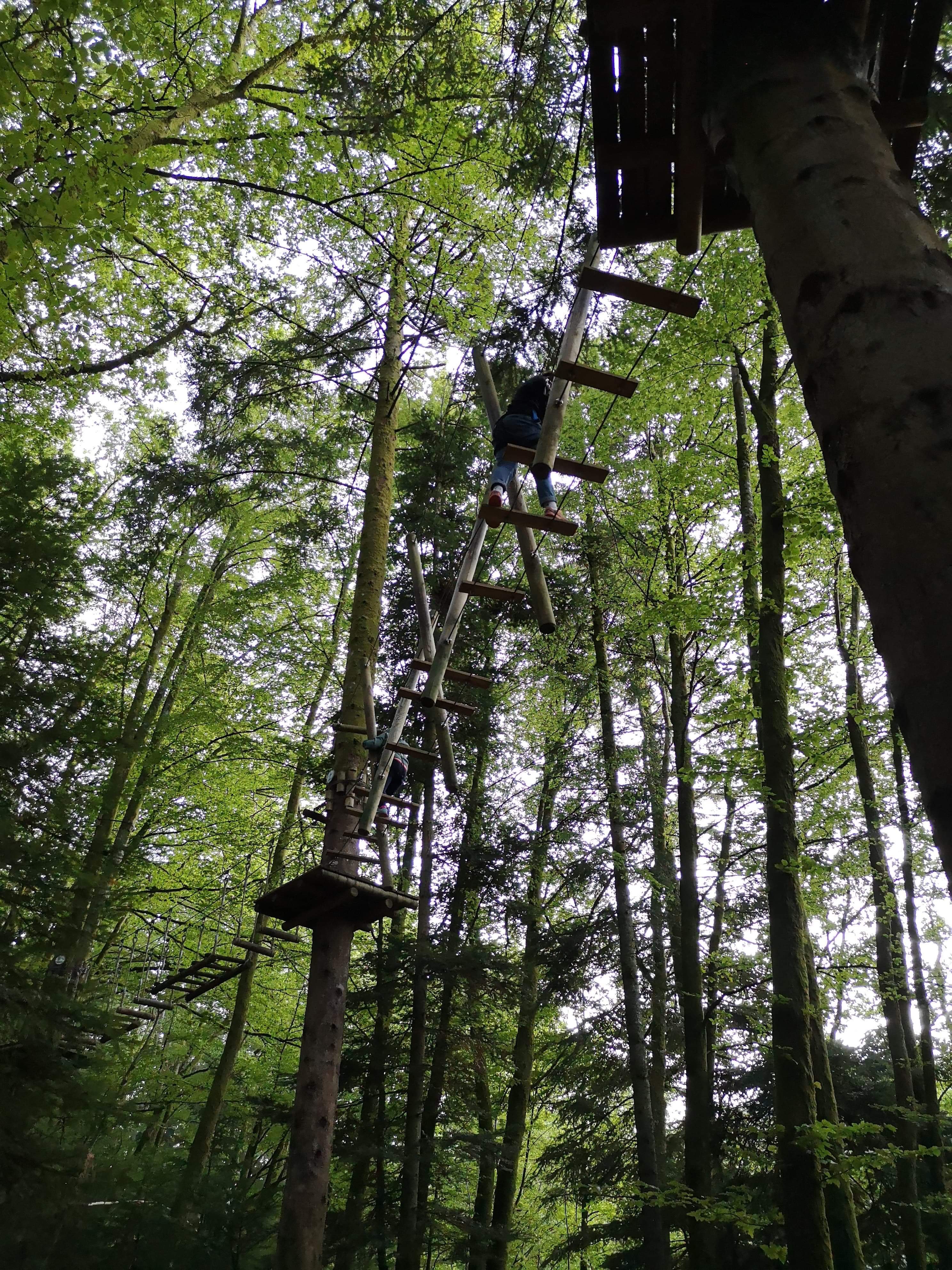 parcours accrobatique