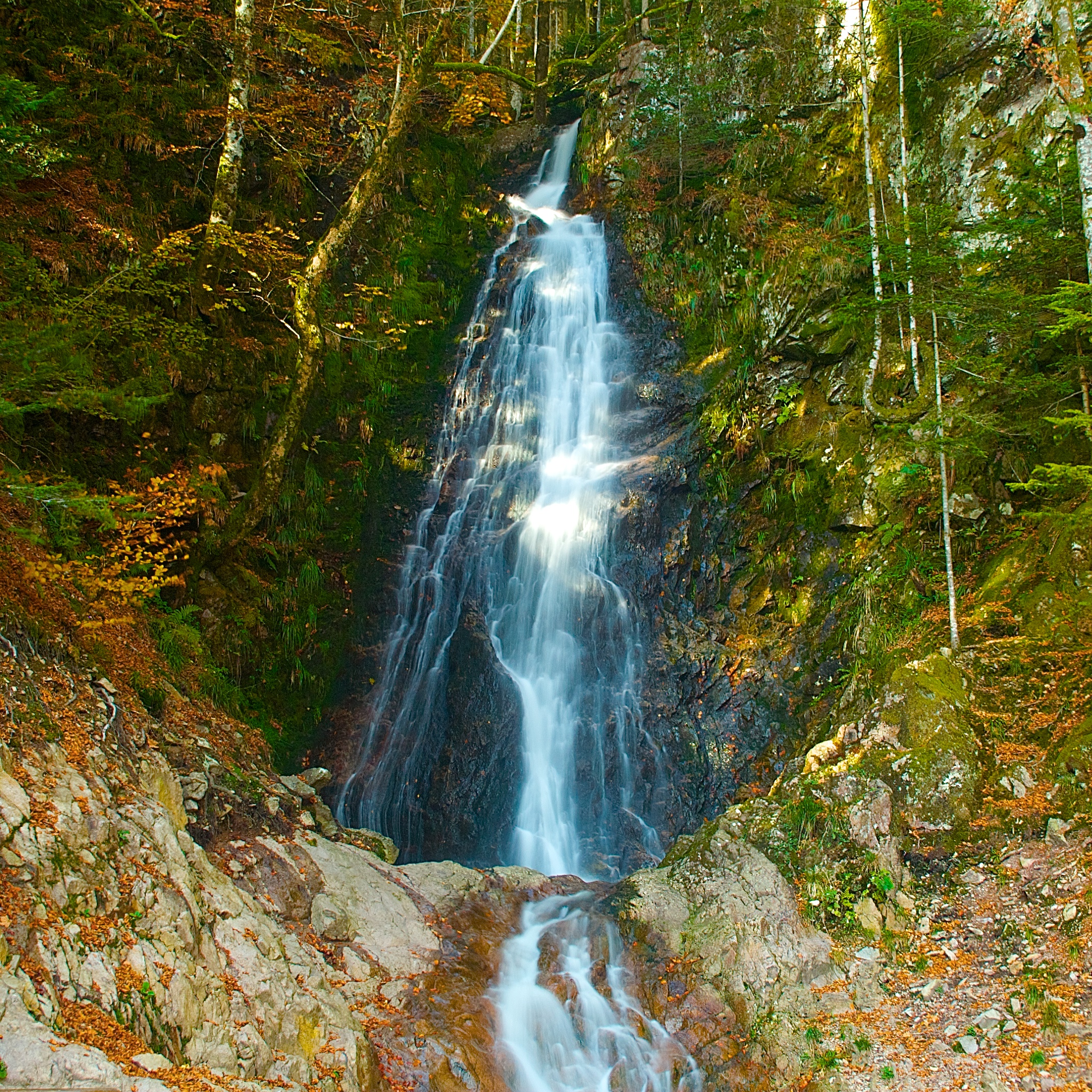 cascade vue rapprochée