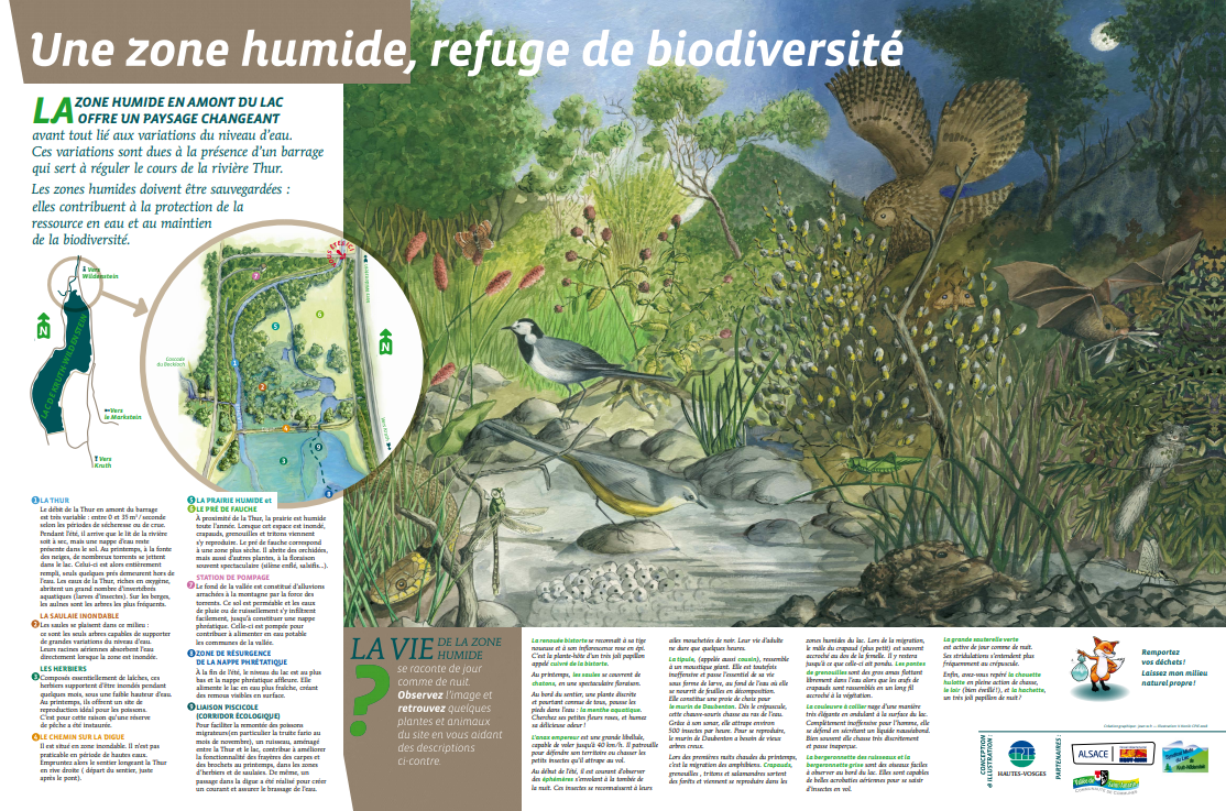 panneau thématique zone humide