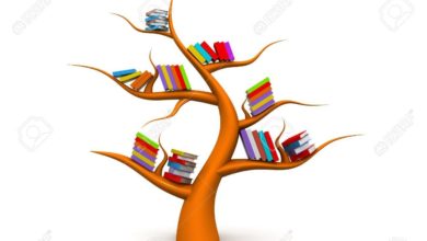 visuel-biblio-390x220.jpg