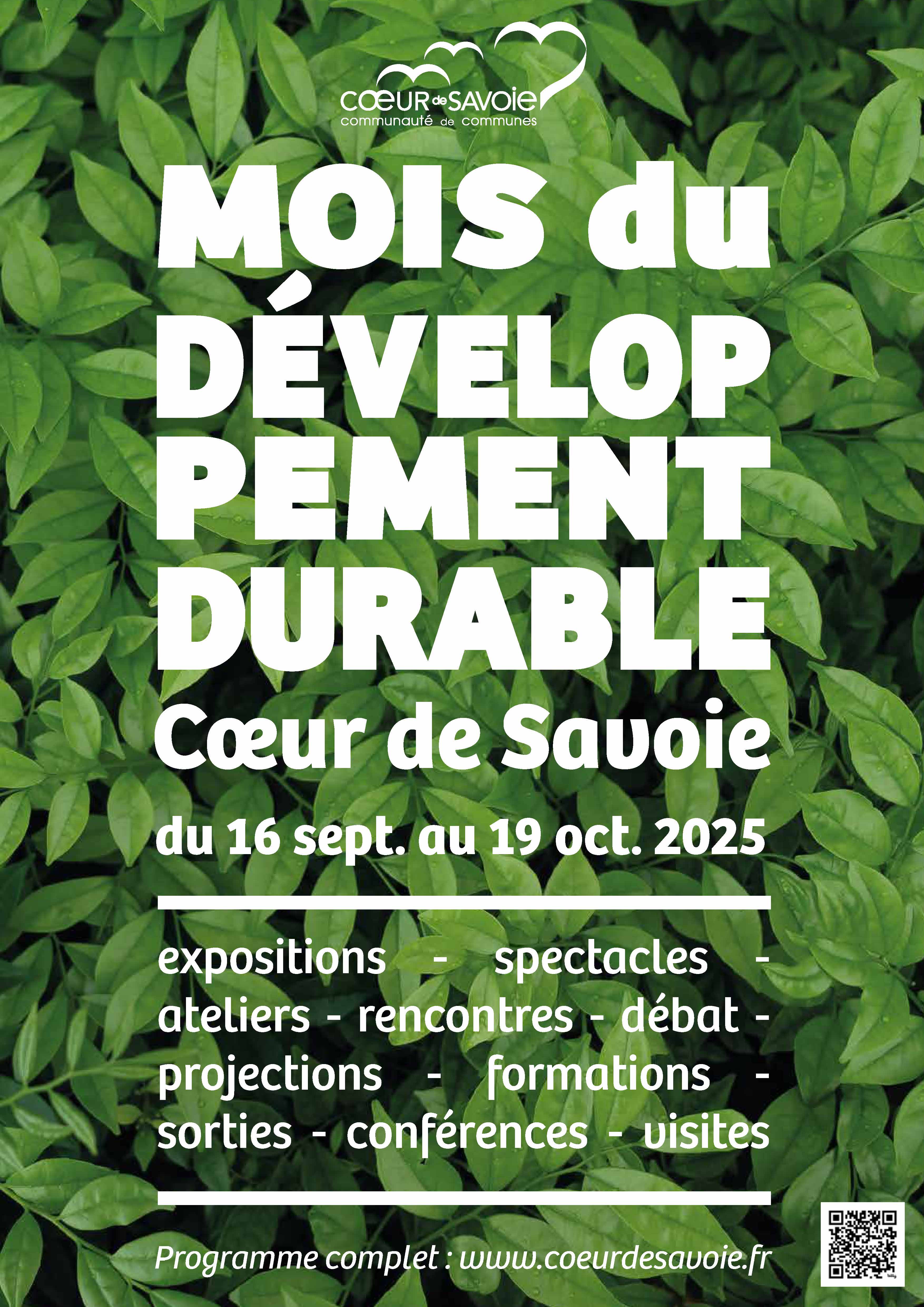 Affiche Mois du DD 2025.jpg