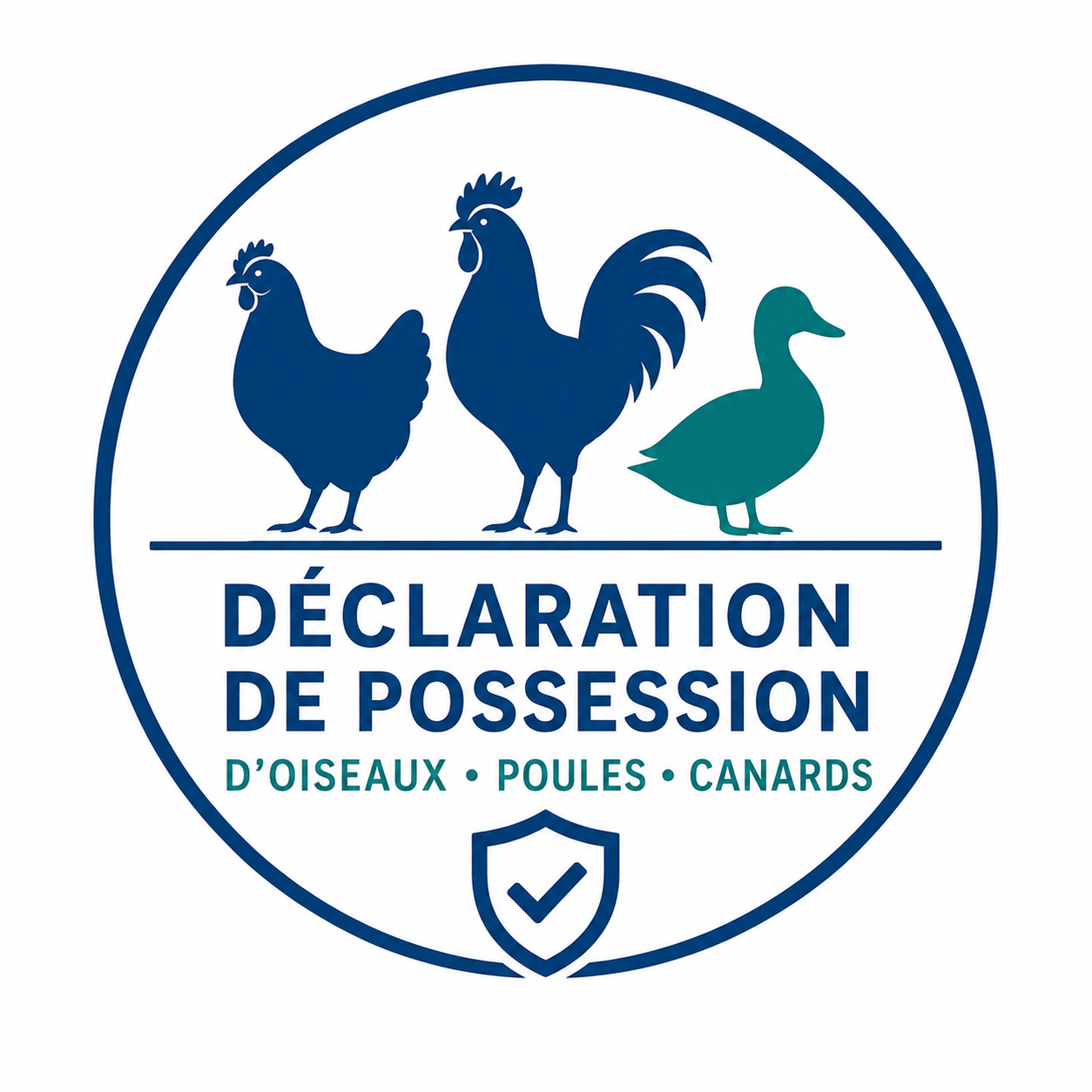 déclaration oiseaux.png