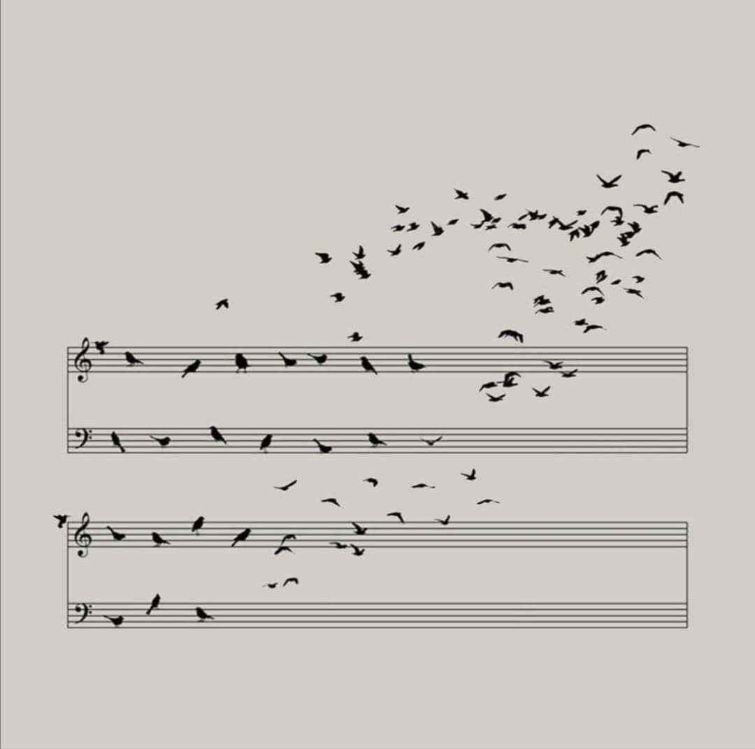 notes oiseaux.jpg