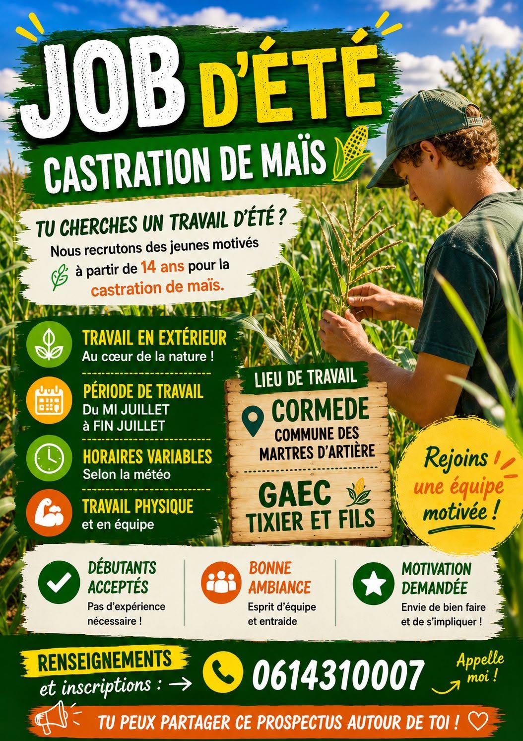 castration Maïs Martres d'Artière