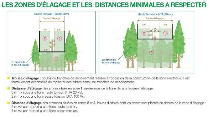 Zones d_élagage.jpg