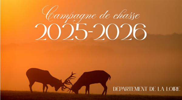 Campagne de chasse 2025-2026
