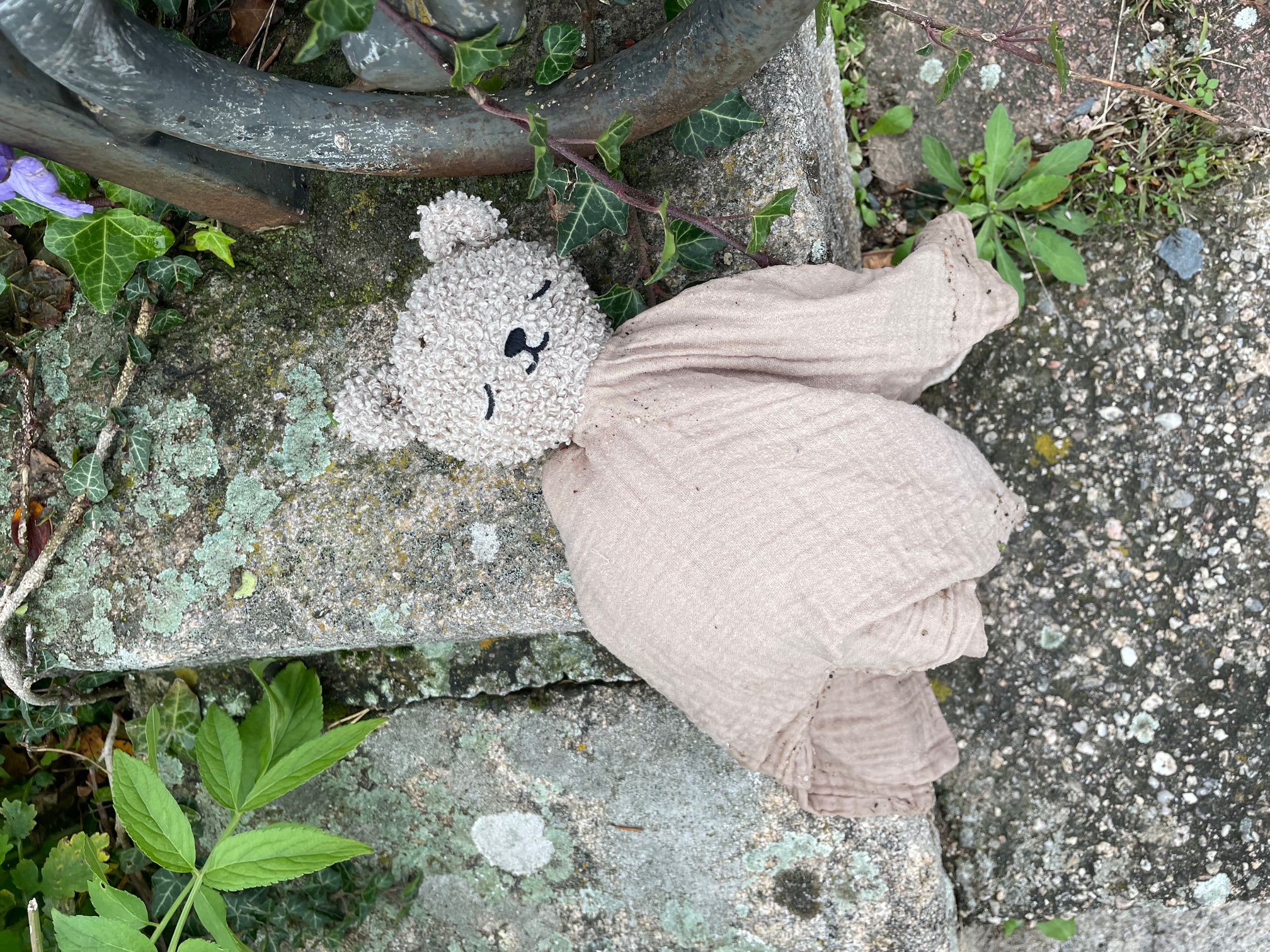 20241010_doudou.jpg