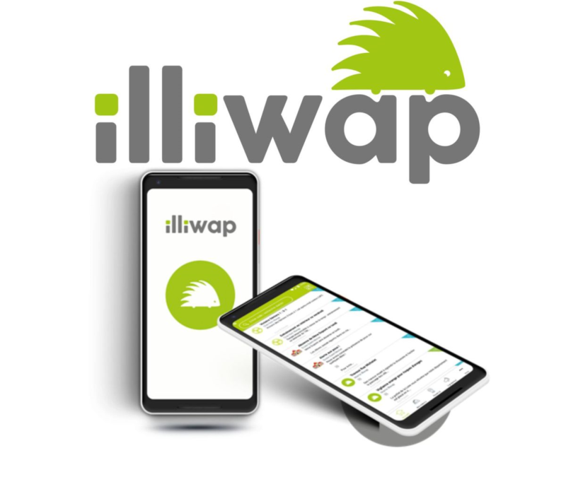 logo-affiche-illiwap.png