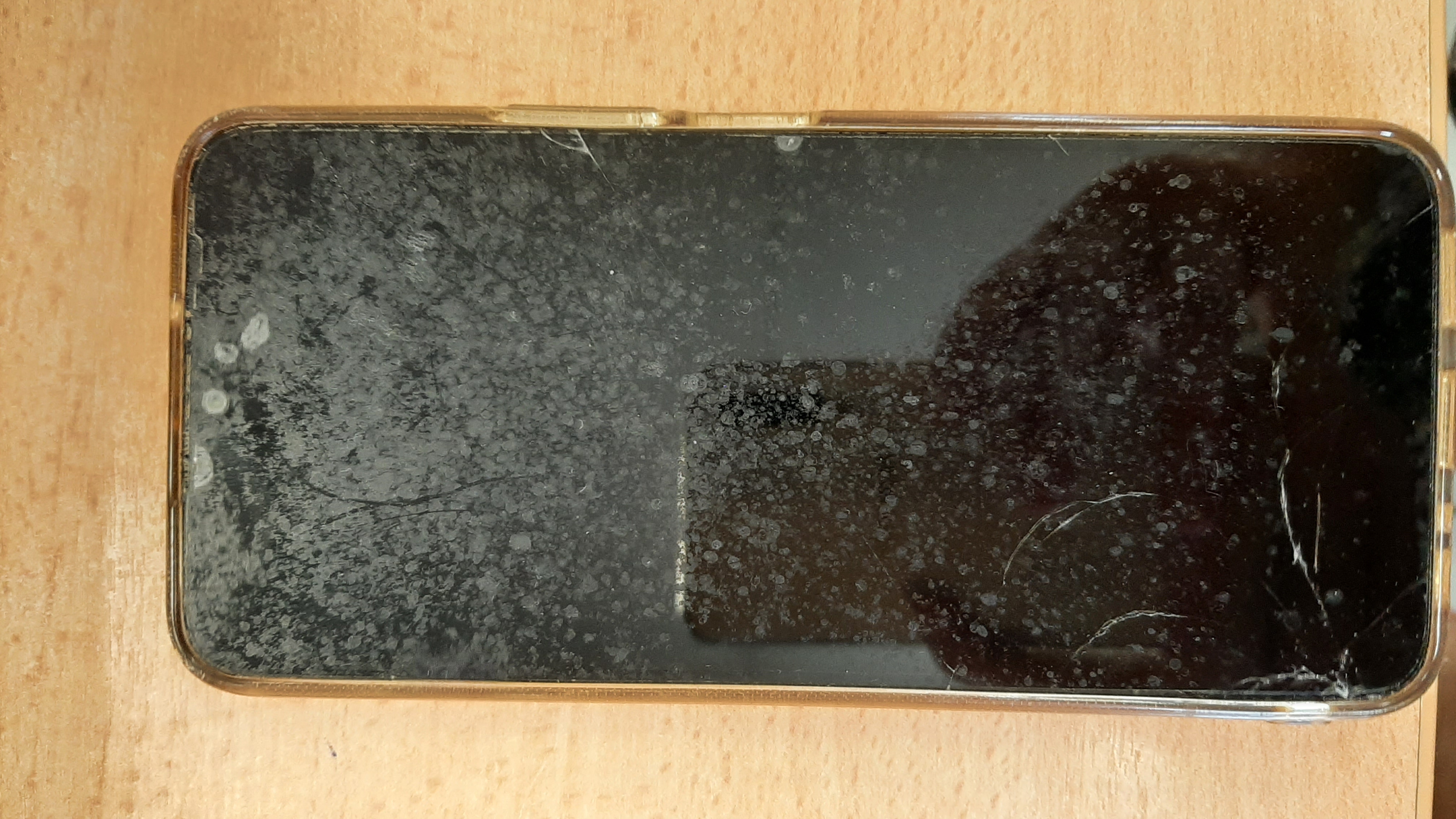 20250616_tel1.jpg