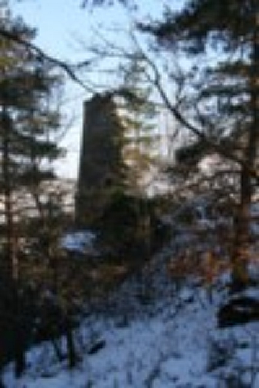 Ruines de l'église Saint Roch