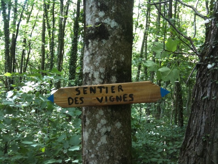 Sentier des vignes.jpg