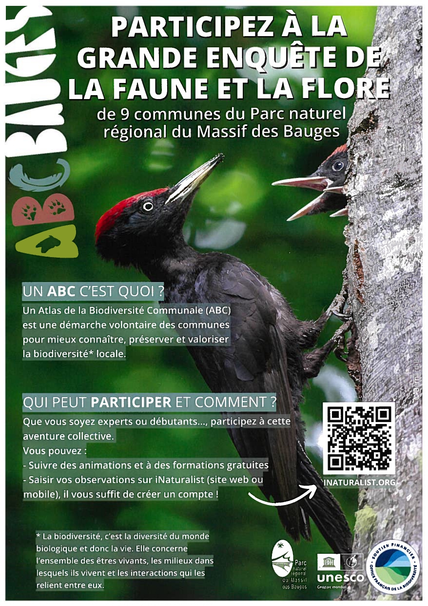 ABC BAUGES - AFFICHE 1_page-0001.jpg