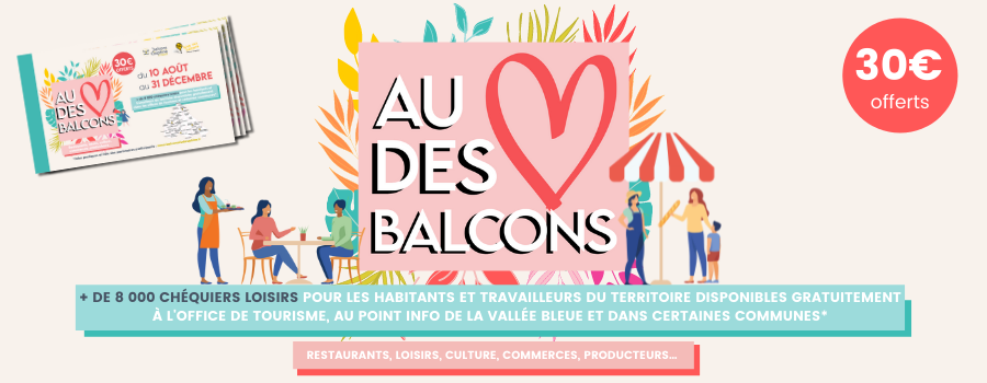 chéquiers.png