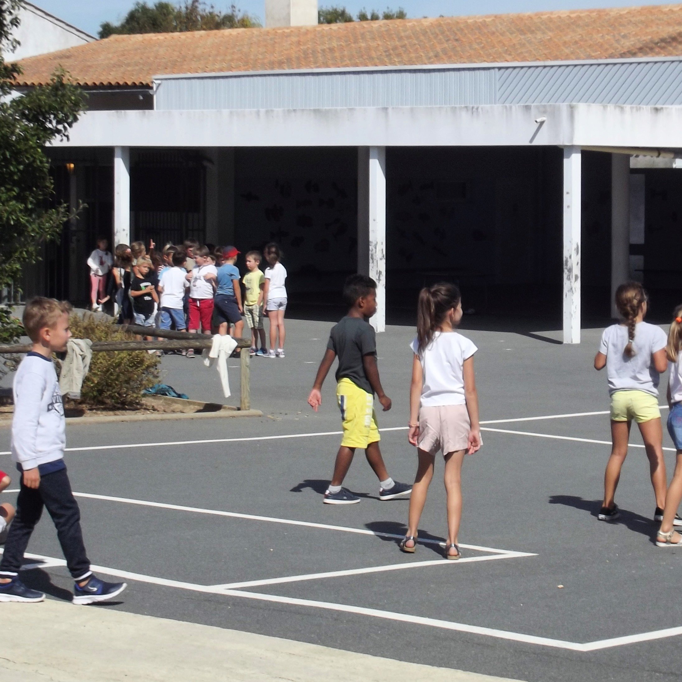 ecole primaire.JPG