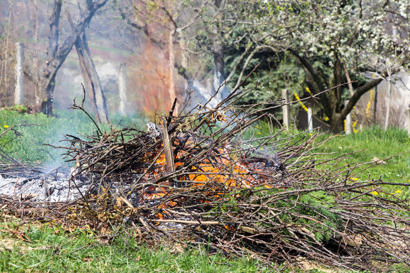 brulage-feu-jardin.jpg