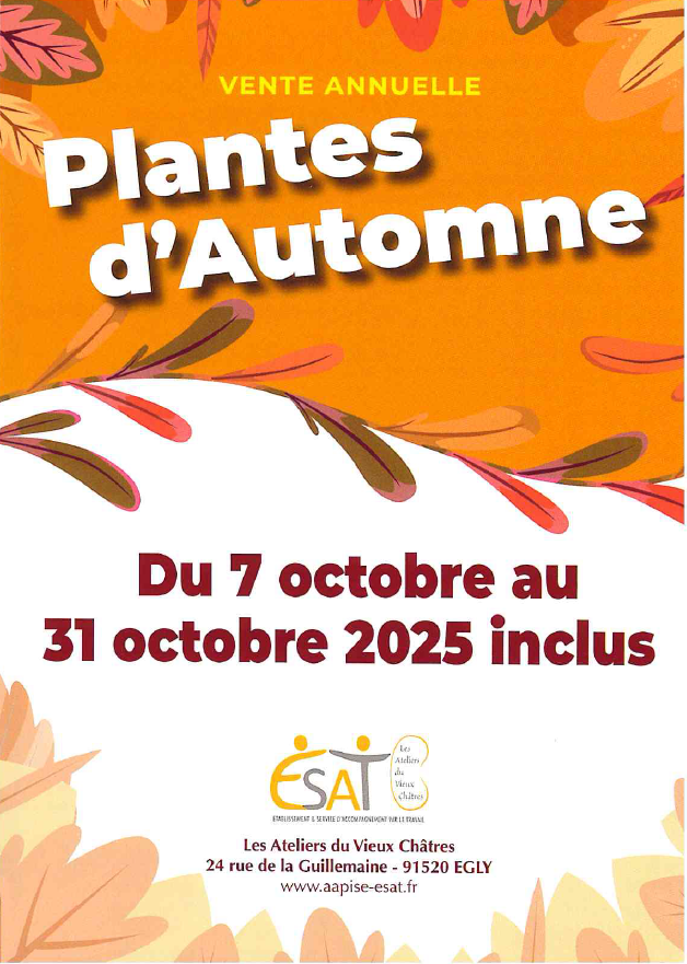 ESAT vente de fleurs 7 au 31 10.png