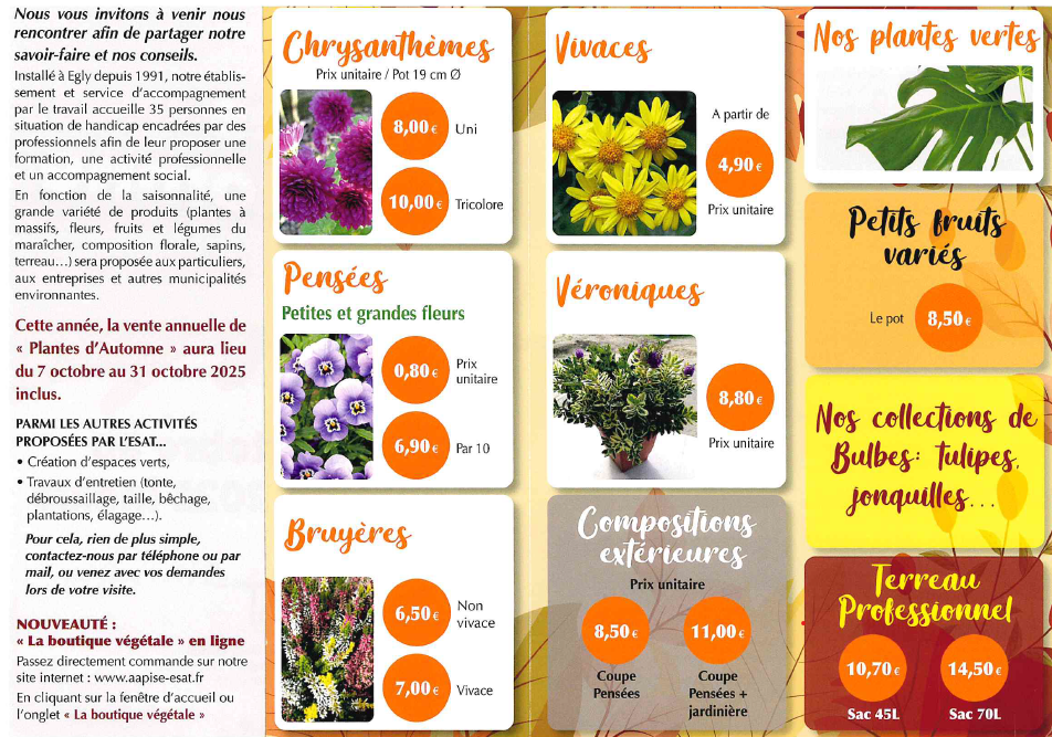Prix vente de fleurs ESAT du 7 au 31 octobre .png