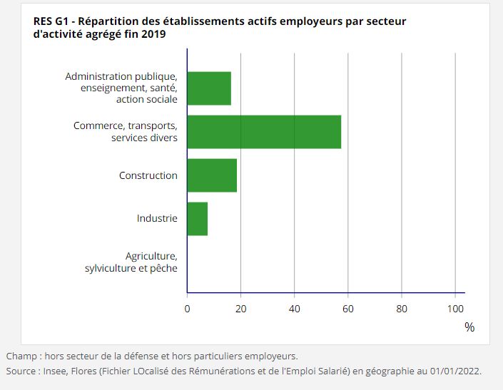 Répartition Employeurs secteur ativité 2019 RES G1.JPG