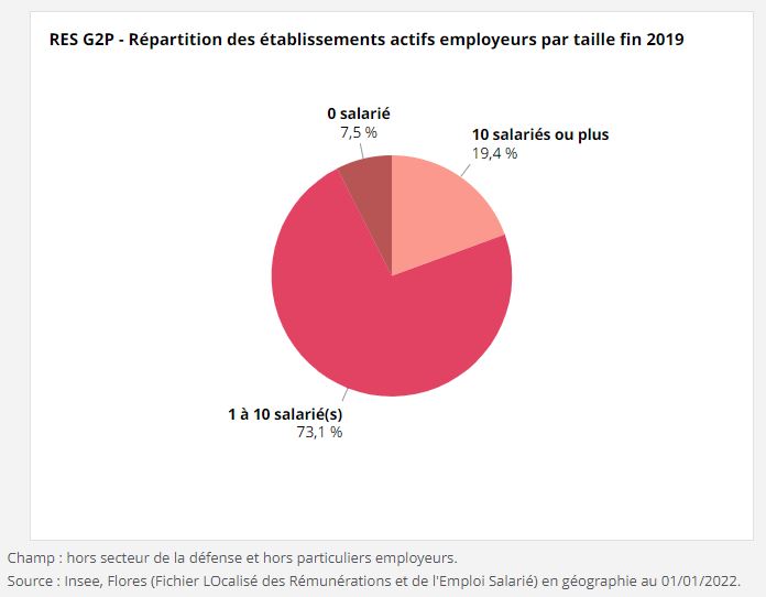 Répartition Employeurs par taille 2019 RES G2P.JPG