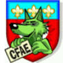 LOGO CFAE 2.jpg