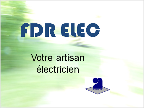 Logo2 FDR ELEC.png