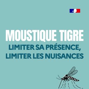 2026-04-07 Moustigre.jpg