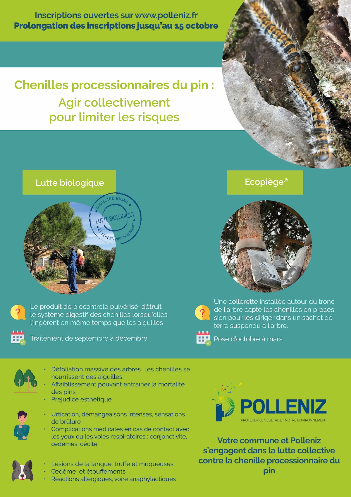 affiche-chenilles processionnaires du pin2024-1.jpg