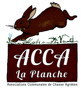 ACCA.jpg