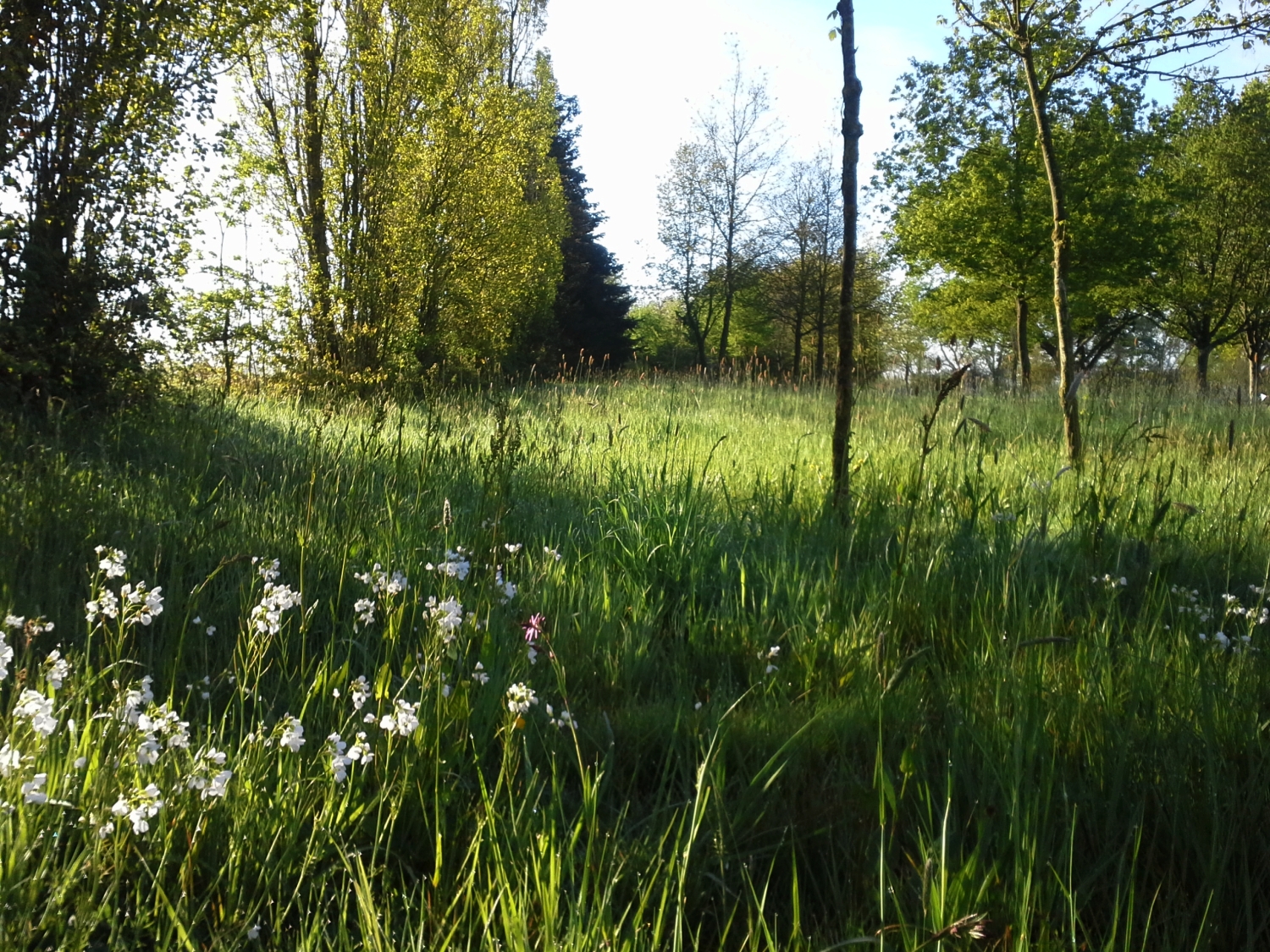 vue plan d_eau GDEV _1_.jpg