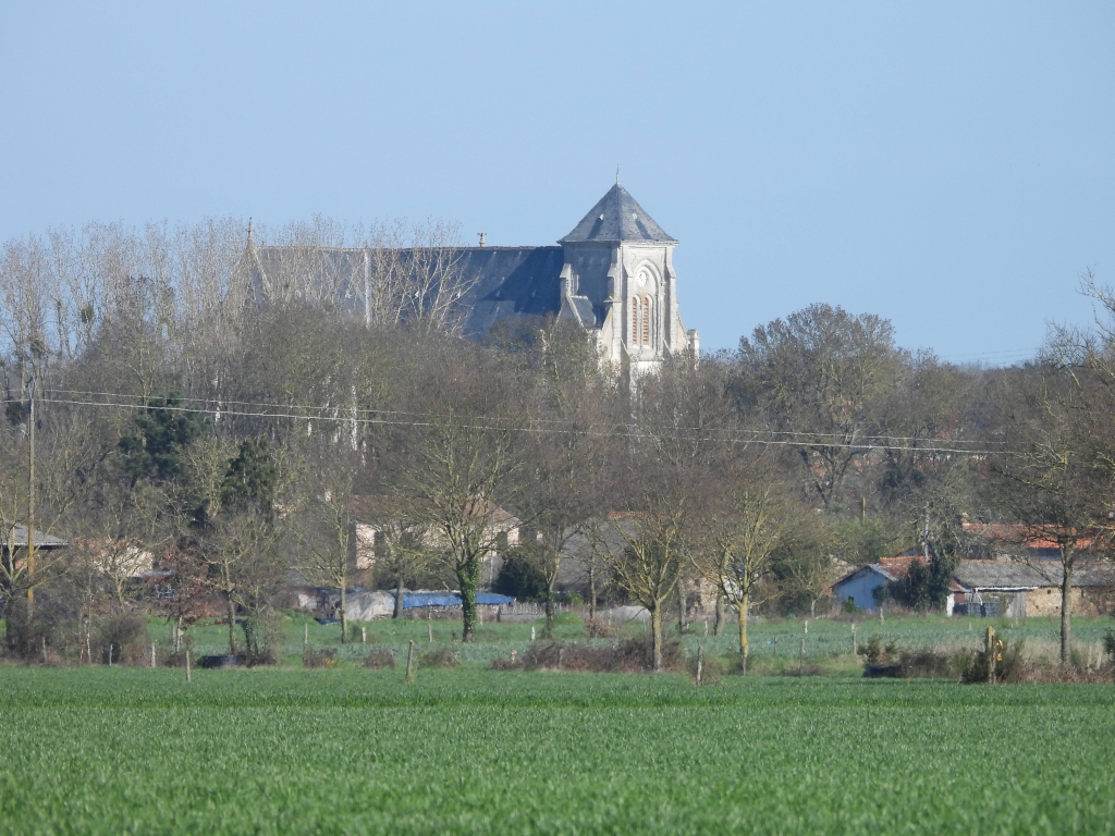 eglise.jpg