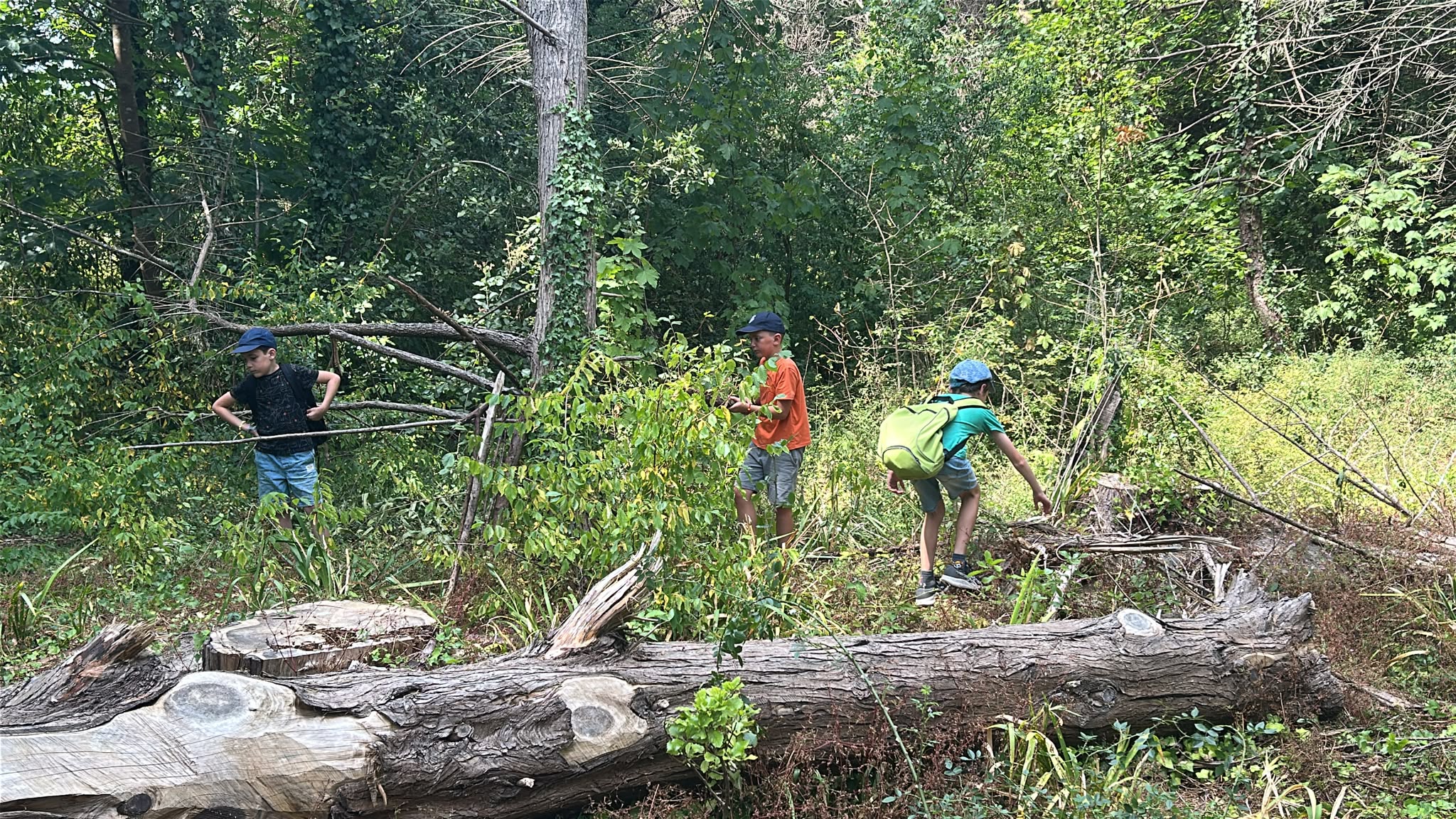 27 PADDLE FORET _4_.jpg
