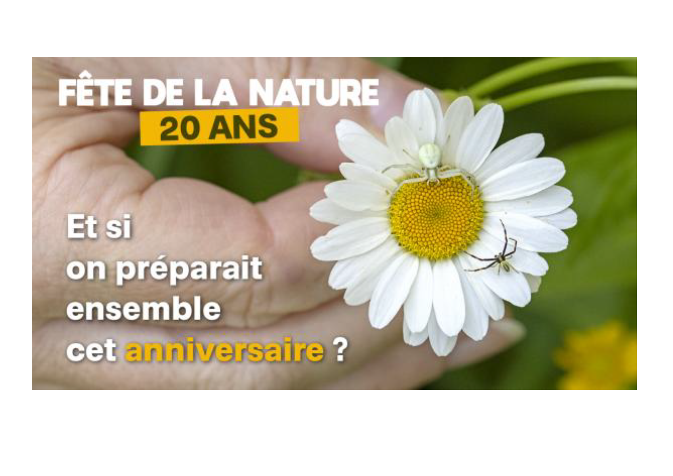 AFFICHE FETE DE LA NATURE 1.png