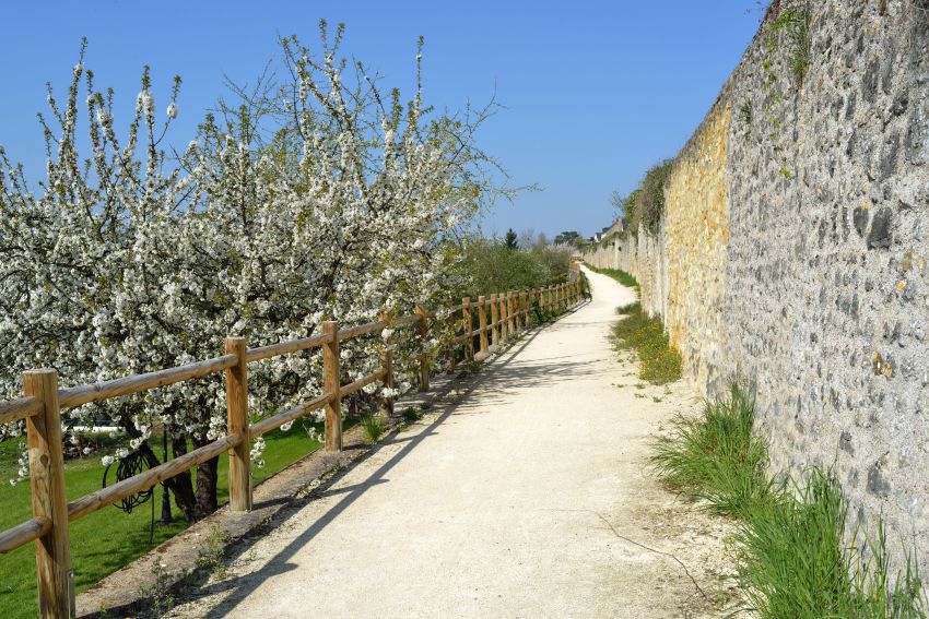 Balade à vélo - Les boucles de Touraine.jpg