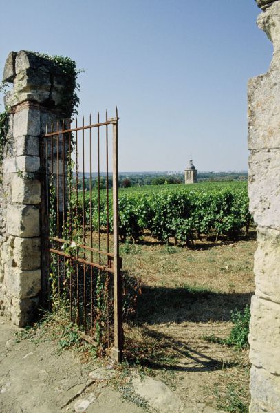 Sentiers pédestres de Vouvray.jpg