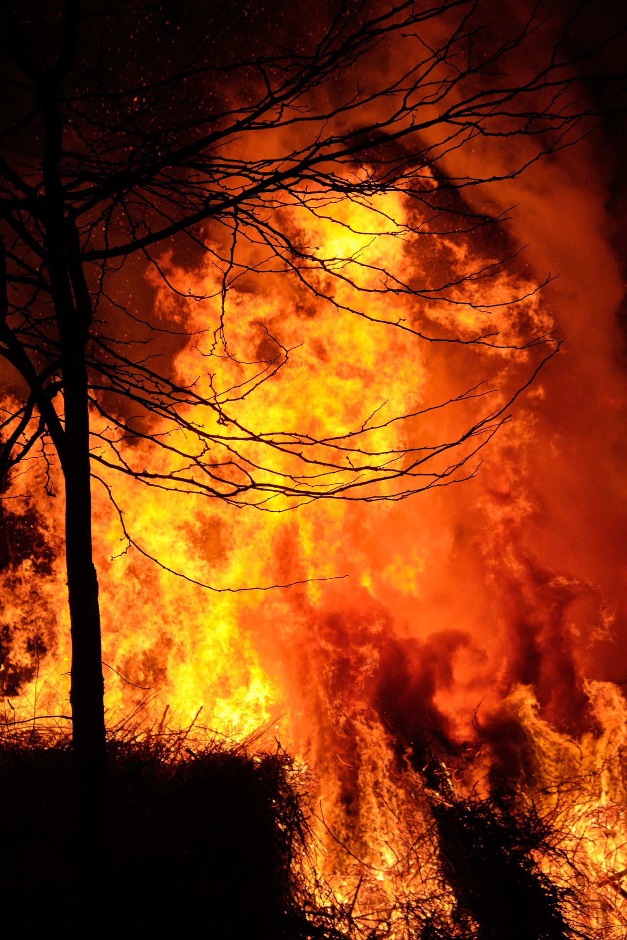 Photo de feu de forêt