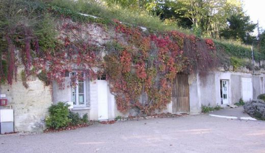 AnyConv.com__Bonne Dame 3.jpg
