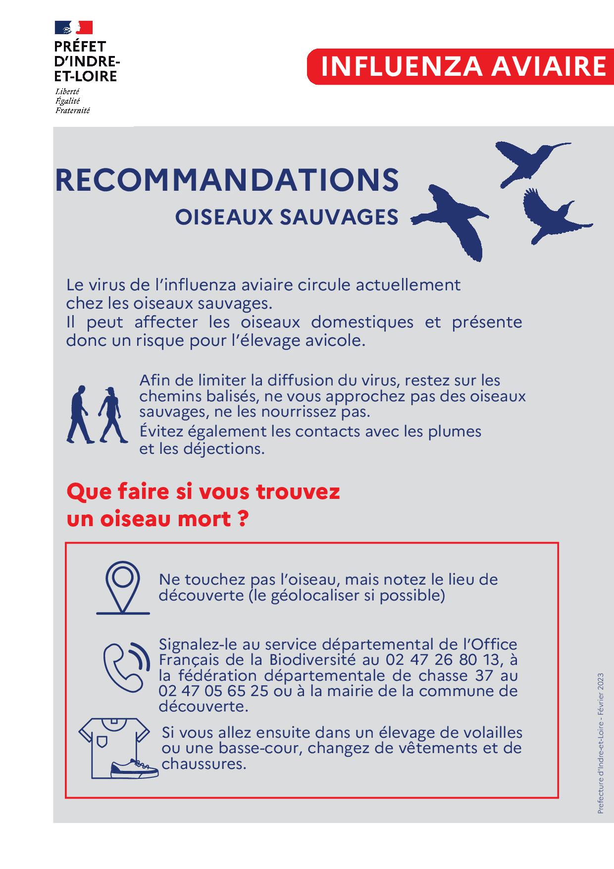 2302_reco oiseaux sauvages.jpg
