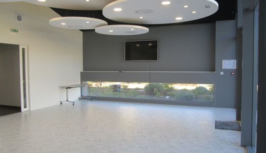 AnyConv.com__veil 1.jpg