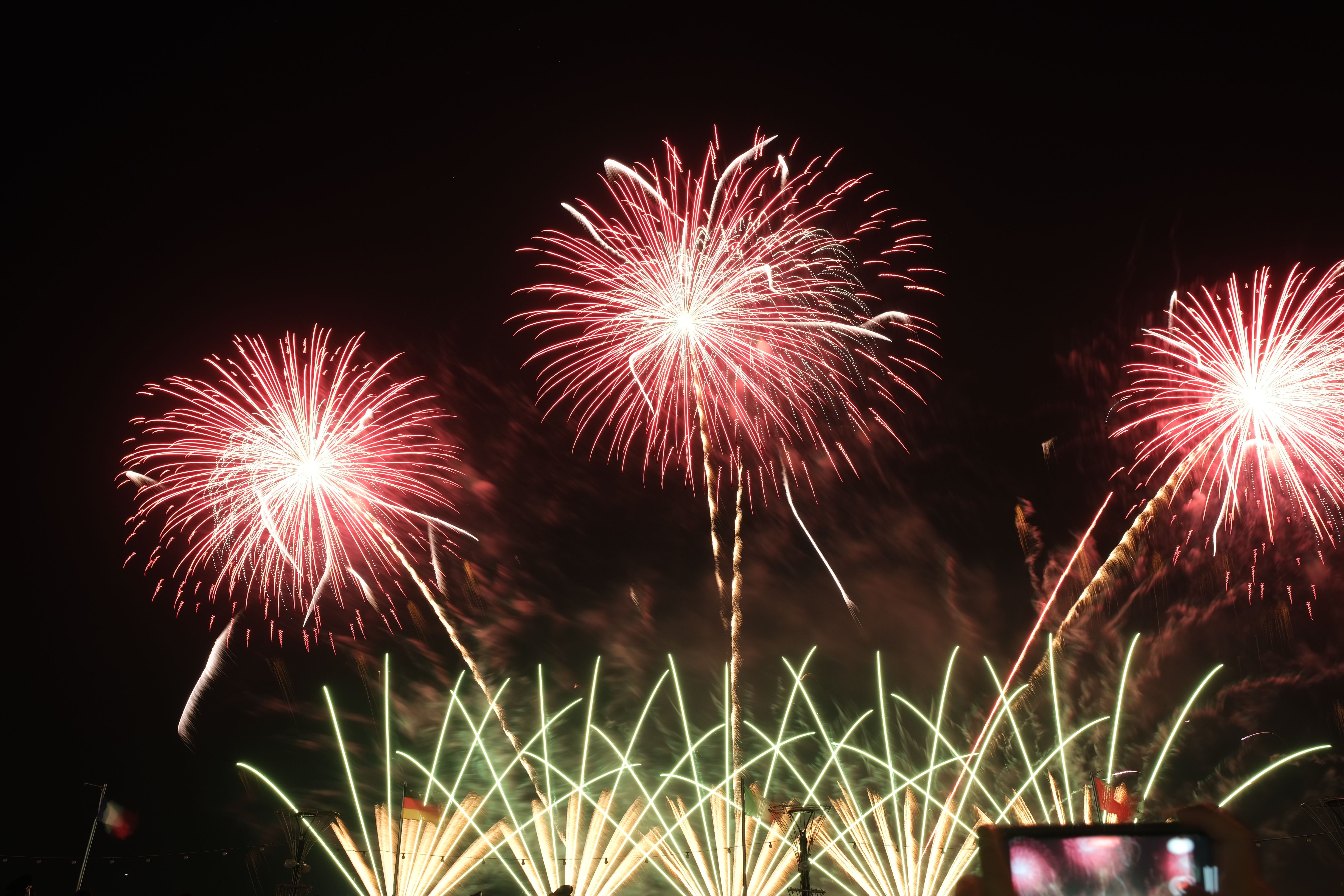 Feux d'artifice en forme de fleurs