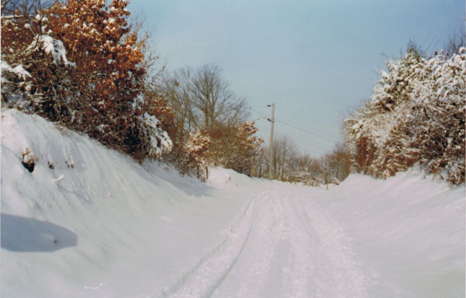 Paysage enneigé