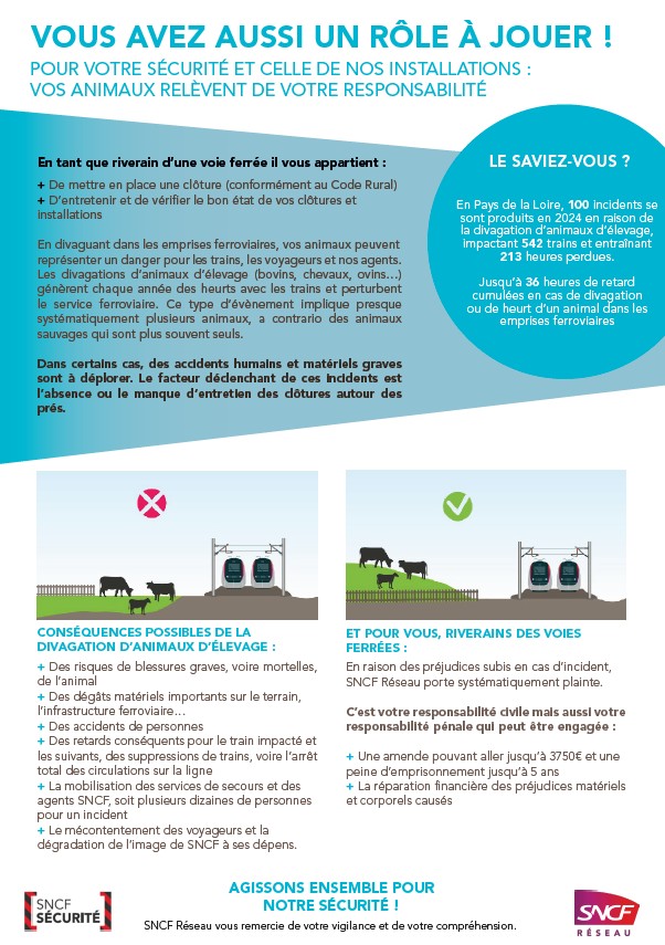 Capture d’écran 2025-11-19 115631.jpg