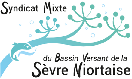Logo SMBVSN.png