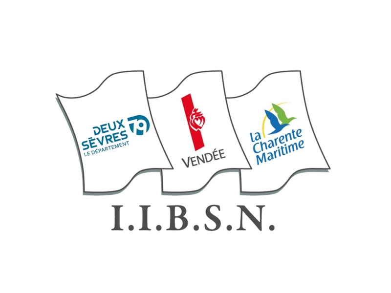 Logo_IIBSN.jpg