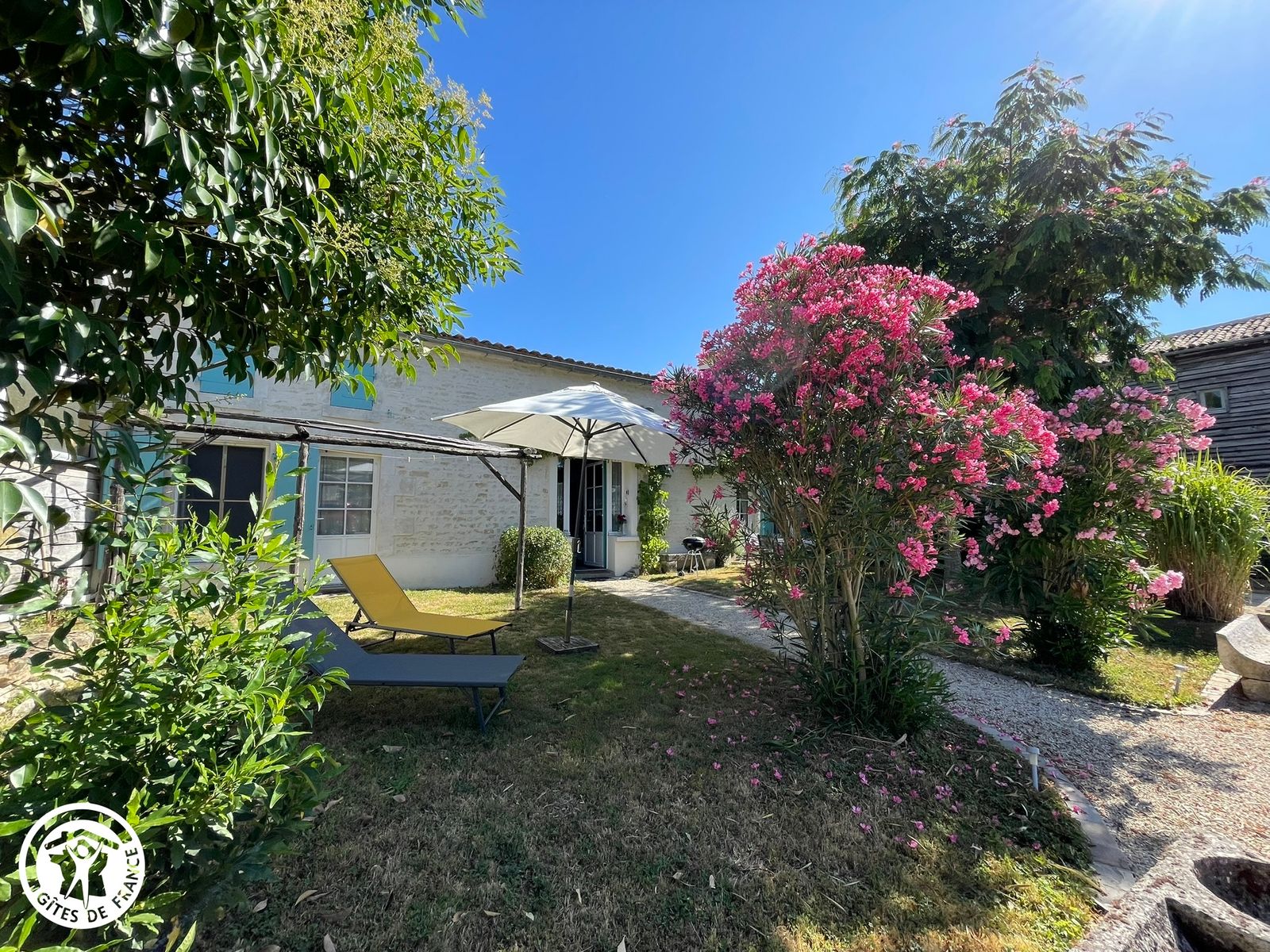 LA VENELLE DE LA GRENOUILLE.jpeg