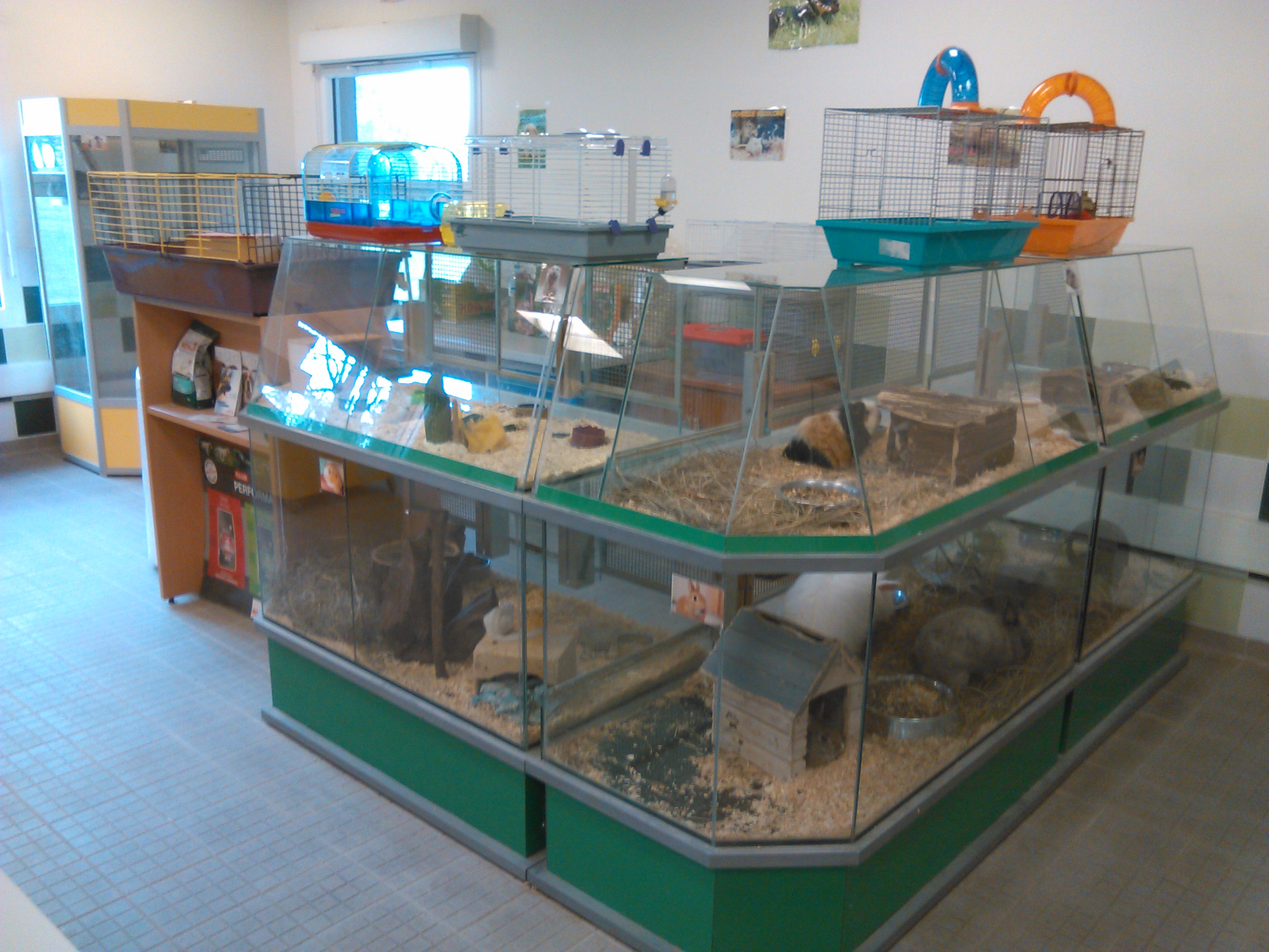 Display rongeurs.jpg