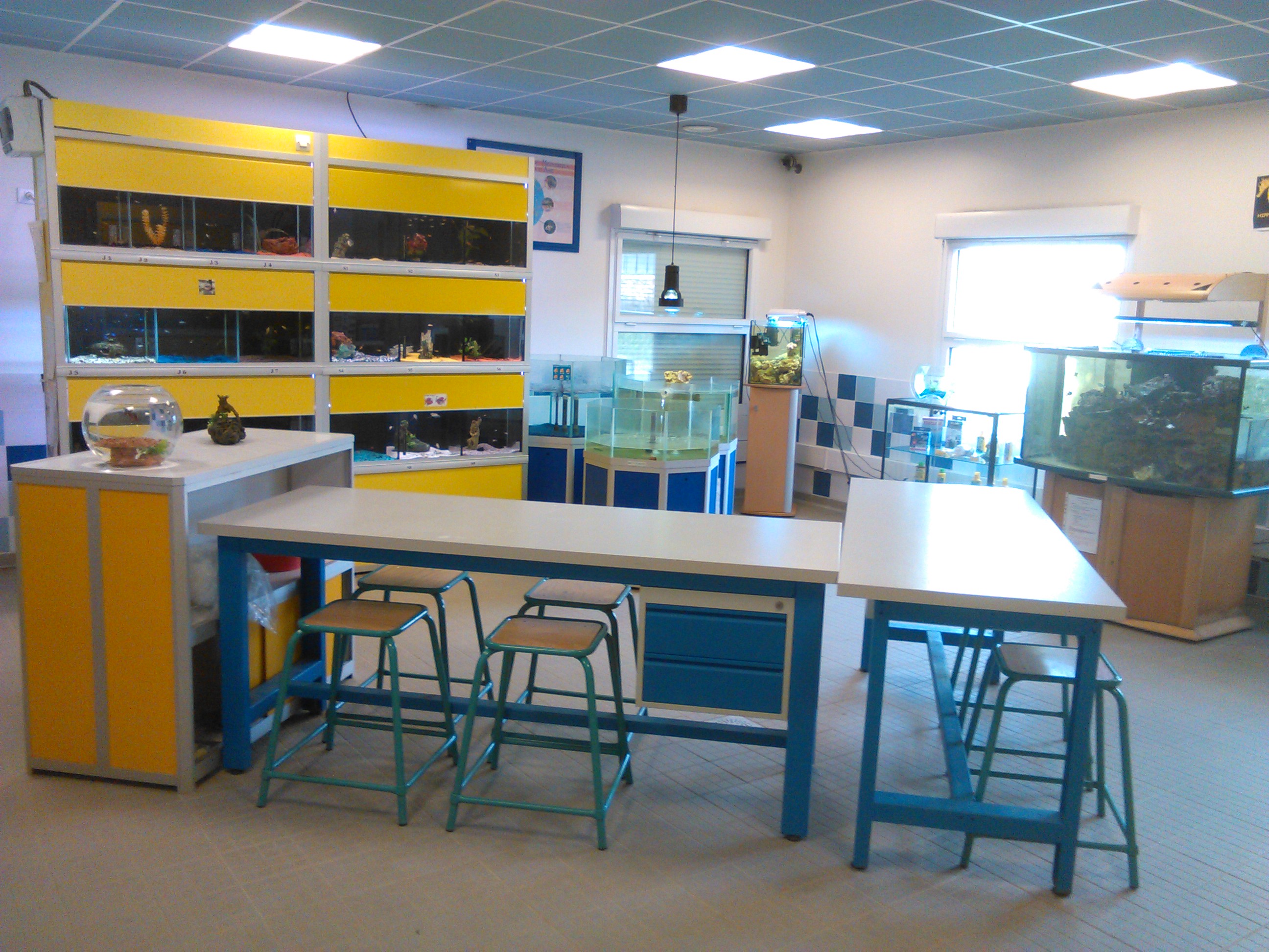Salle d_aquariophilie.jpg