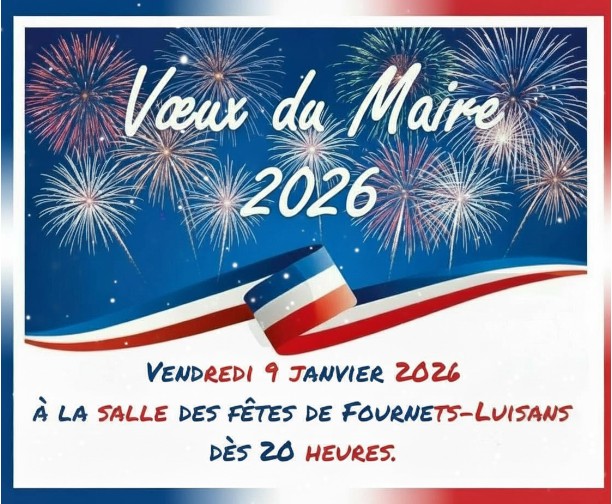 Voeux du maire 2026.jpg