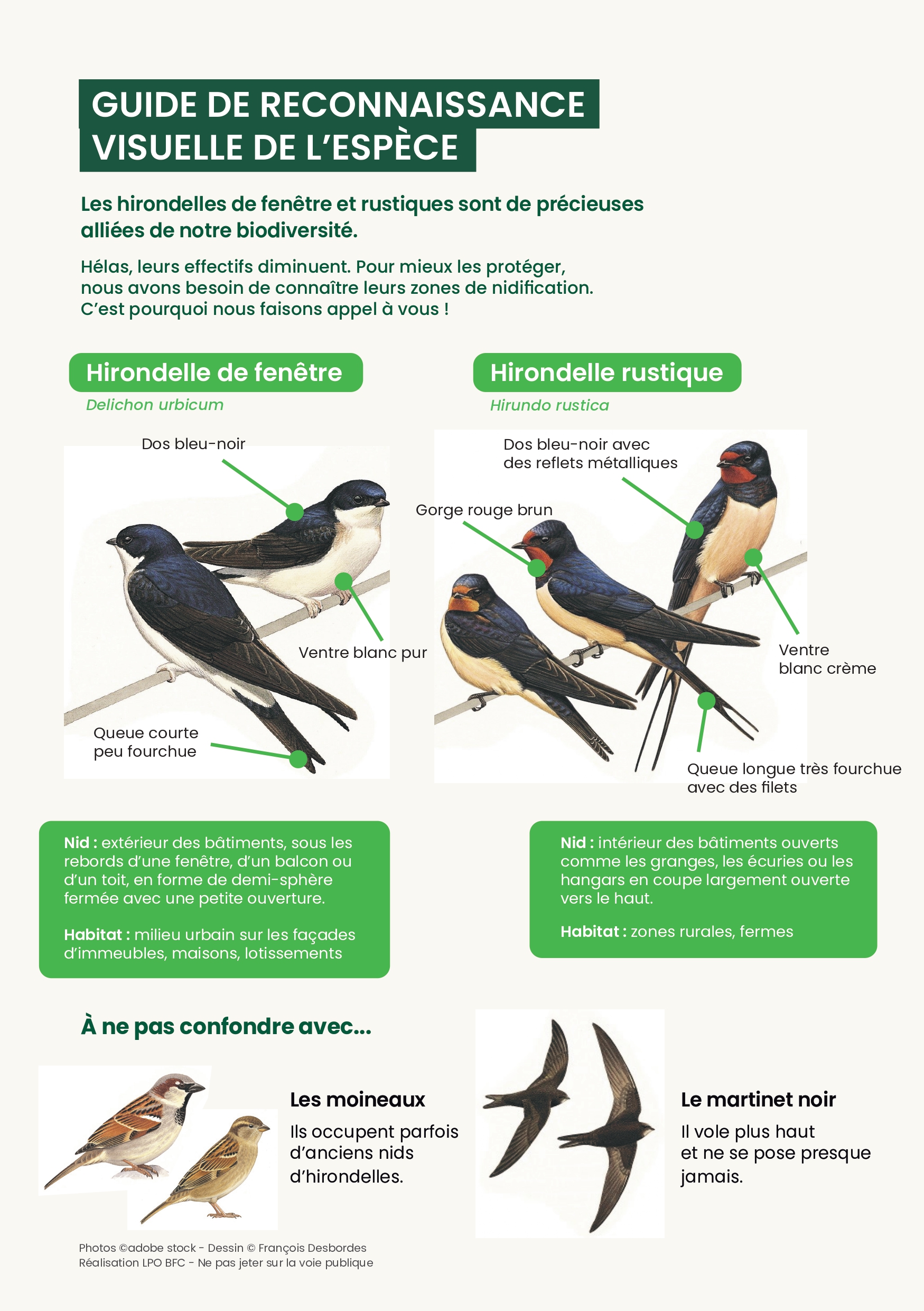 fiche_identification.jpg